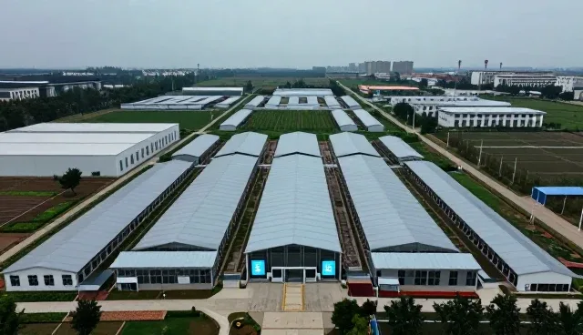 教学资源开发中考试辅导常见问题与应对策略